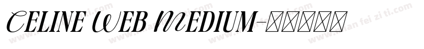 Celine Web Medium字体转换